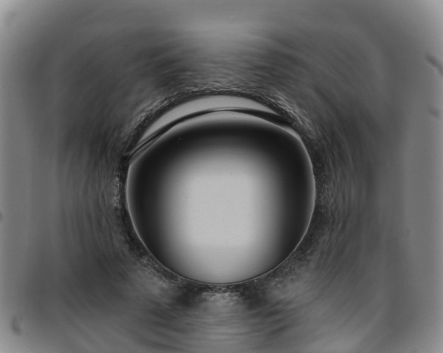 X0000096450689200801311451