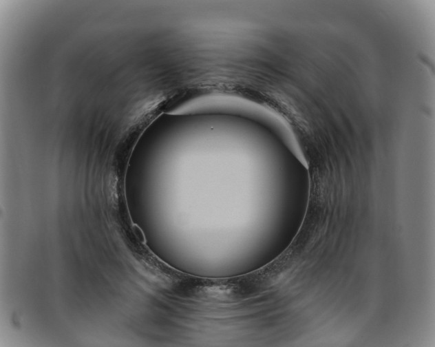 X0000096450692200801311451