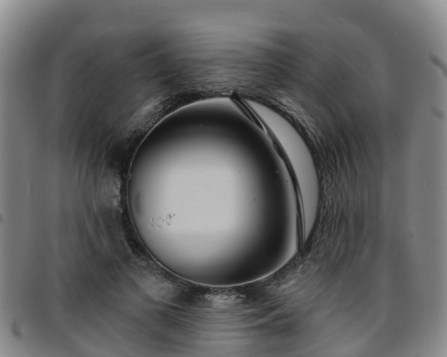 X0000096450693200801311451