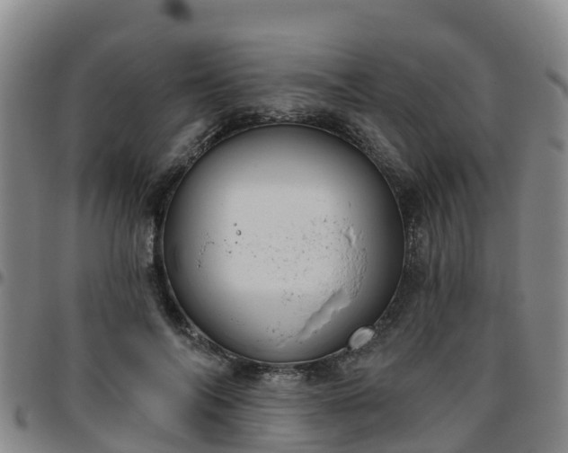 X0000096450694200801311451