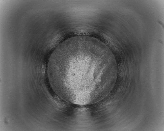 X0000096450695200801311451