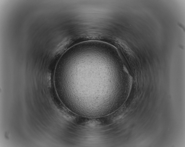 X0000096450696200801311451