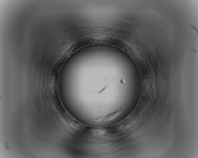 X0000096450698200801311451