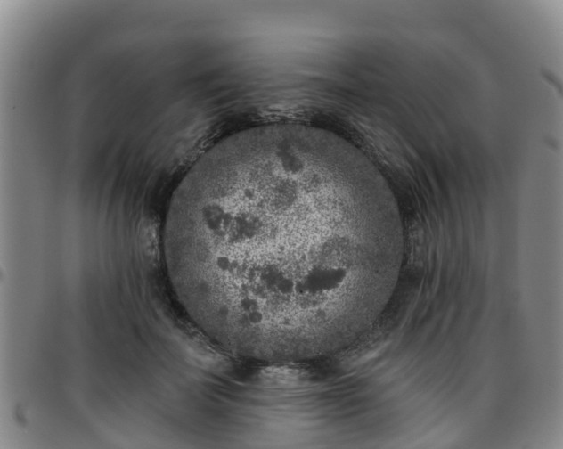 X0000096450699200801311451