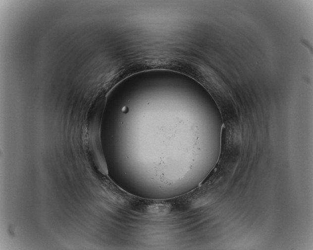 X0000096450700200801311451