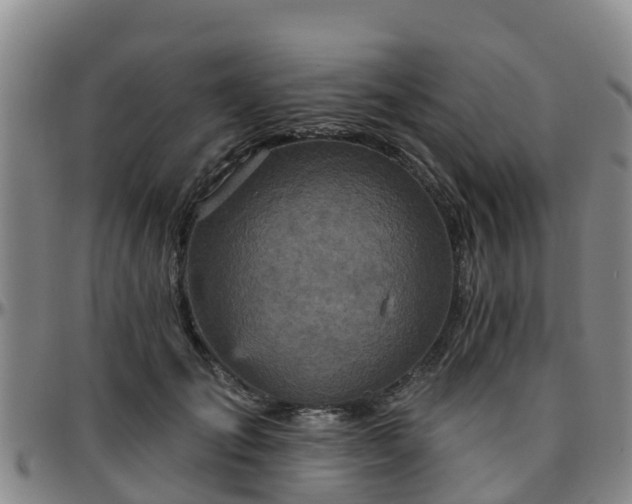 X0000096450701200801311451