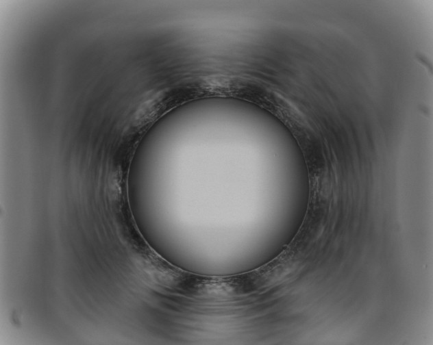 X0000096450702200801311451