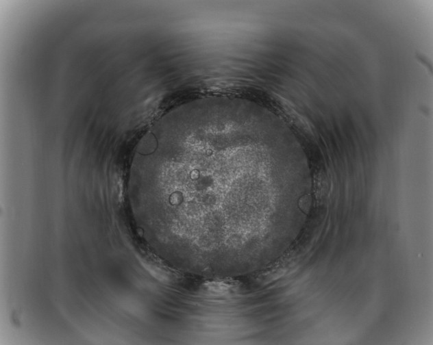 X0000096450703200801311451