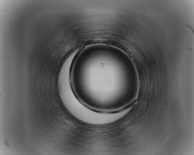 X0000096450704200801311451