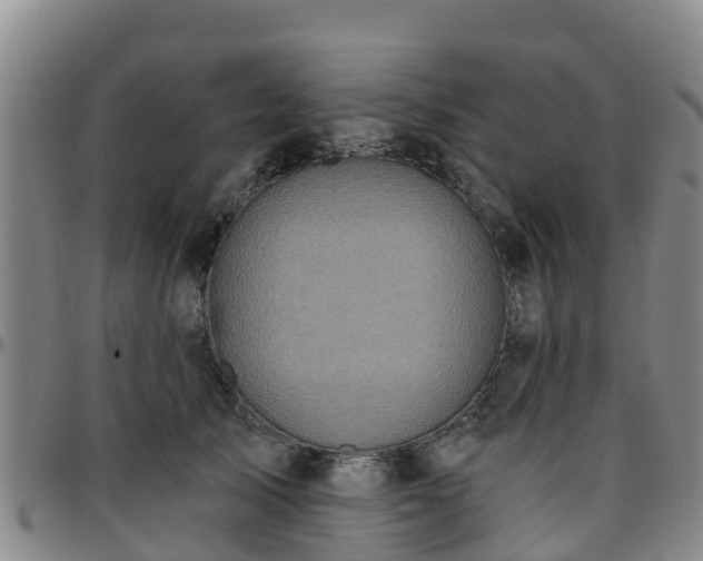 X0000096450705200801311451