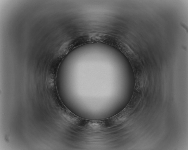 X0000096450706200801311450