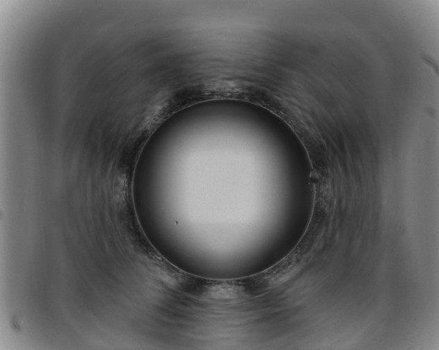 X0000096450708200801311450