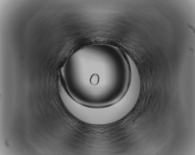 X0000096450709200801311450