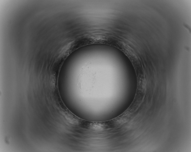 X0000096450710200801311450