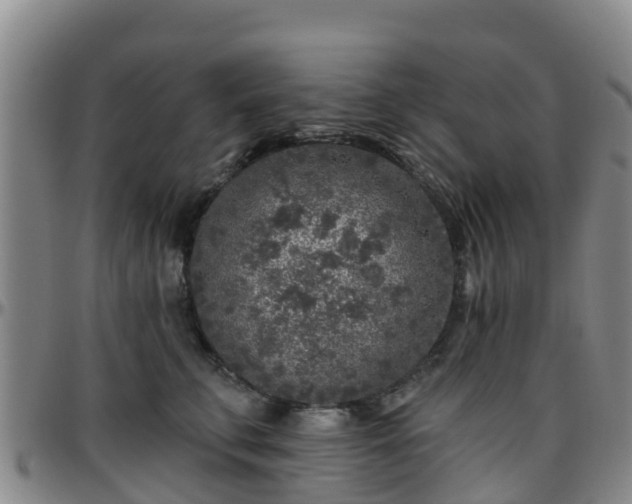 X0000096450711200801311450