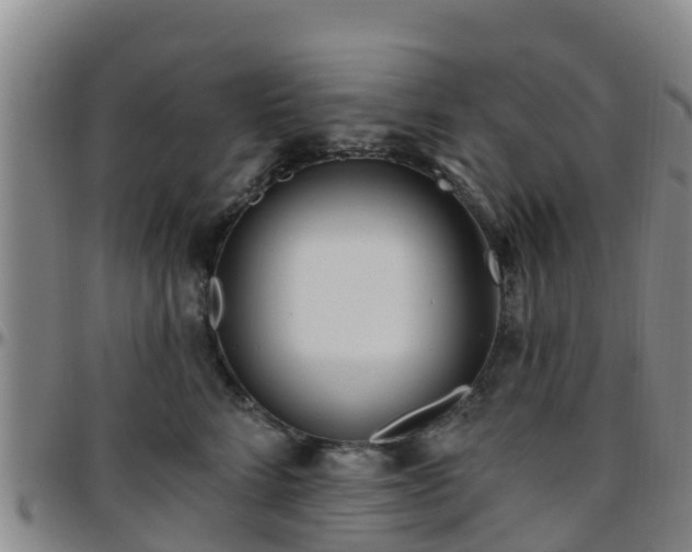 X0000096450712200801311450