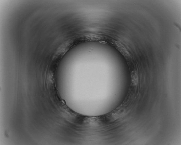 X0000096450713200801311450