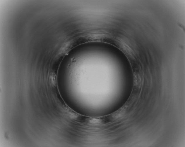 X0000096450718200801311450