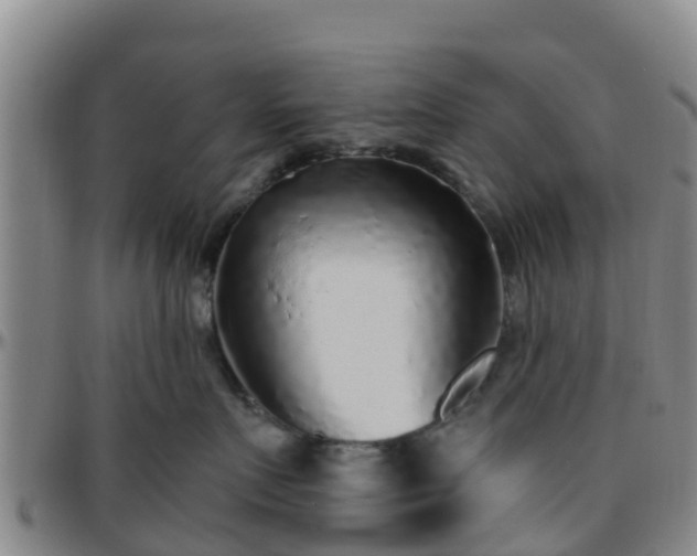 X0000096450719200801311450