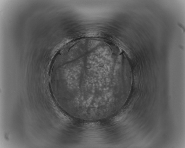 X0000096450721200801311450