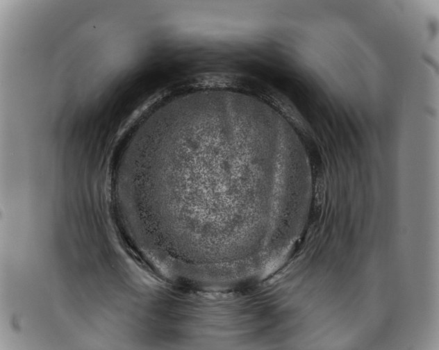 X0000096450722200801311450