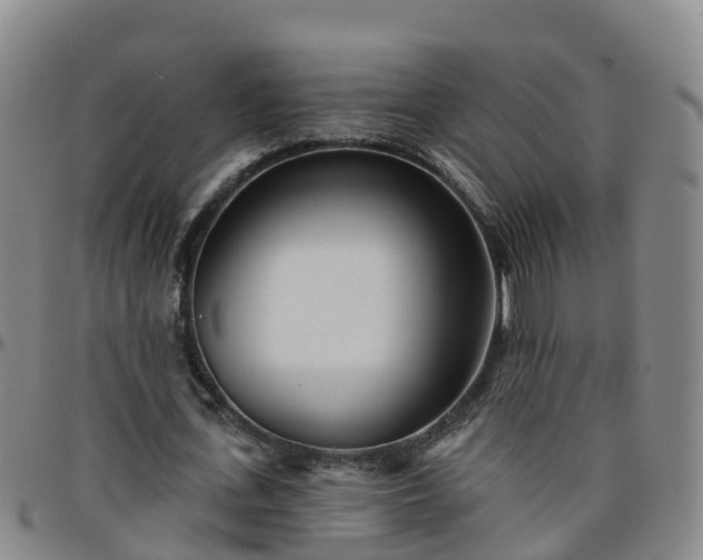 X0000096450723200801311450