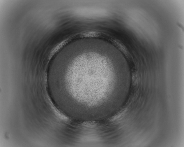 X0000096450725200801311450