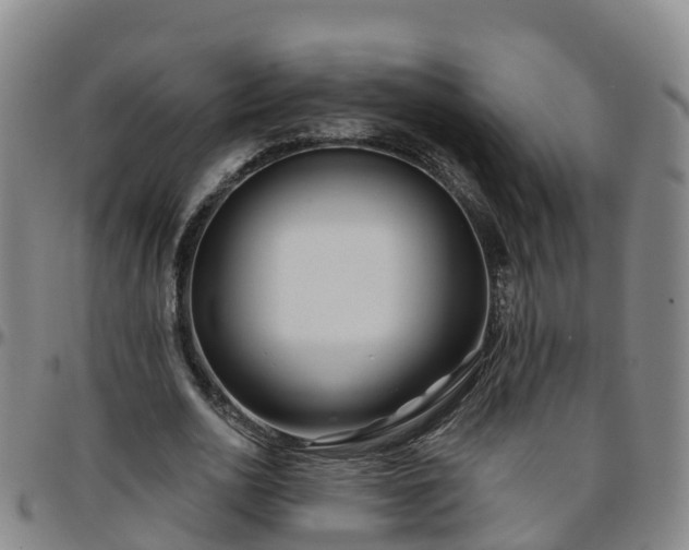 X0000096450726200801311450