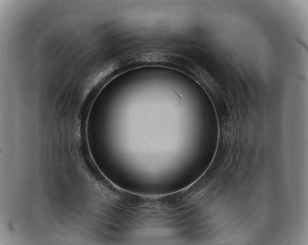 X0000096450727200801311450