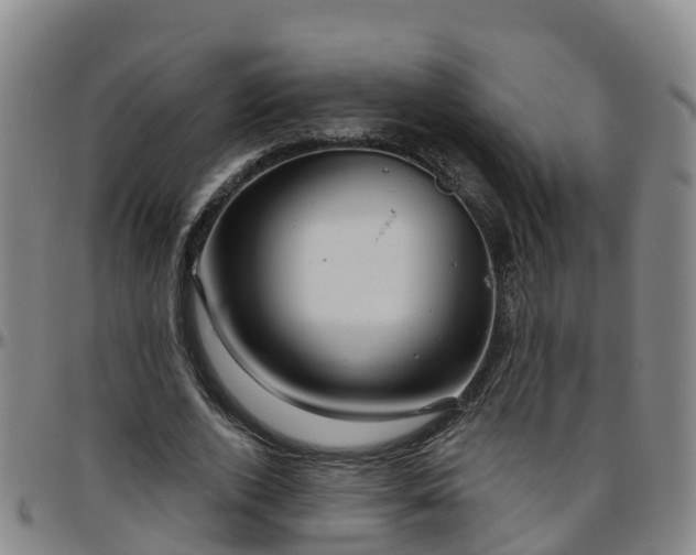 X0000096450728200801311450