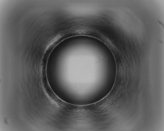 X0000096450730200801311450