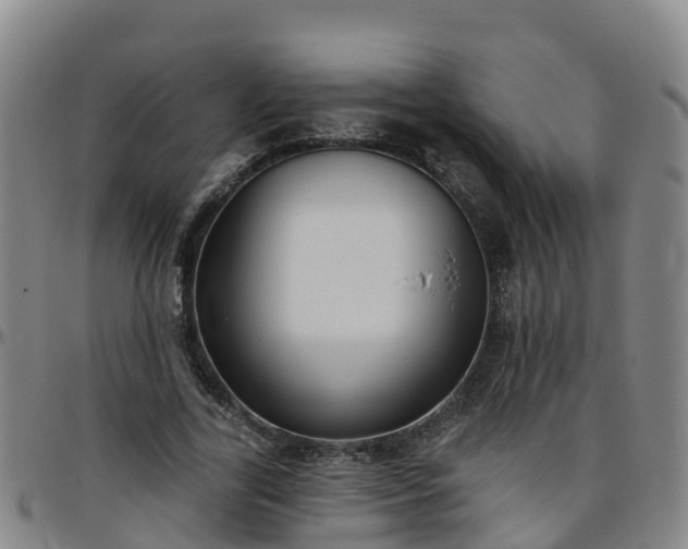 X0000096450731200801311450