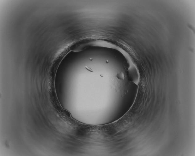 X0000096450732200801311450