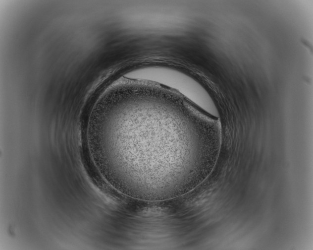 X0000096450734200801311450