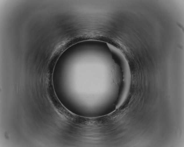 X0000096450736200801311450