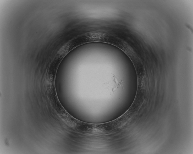 X0000096450737200801311450