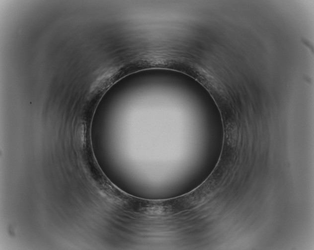 X0000096450740200801311450