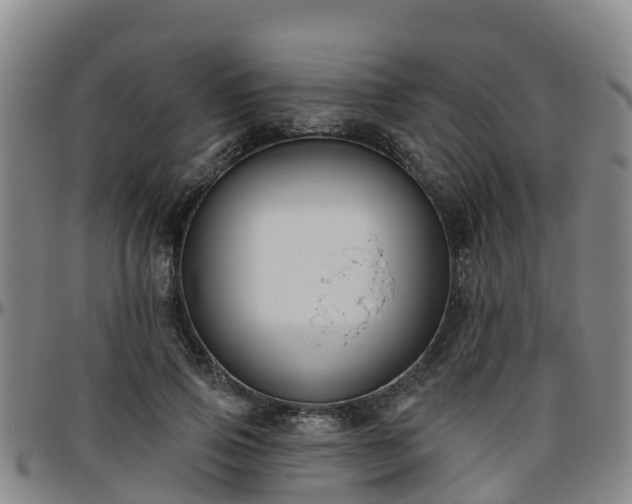 X0000096450741200801311450