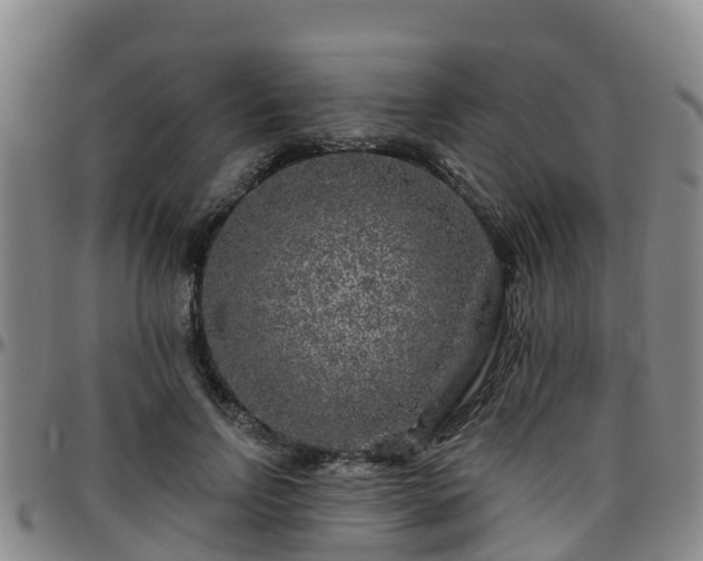 X0000096450742200801311450