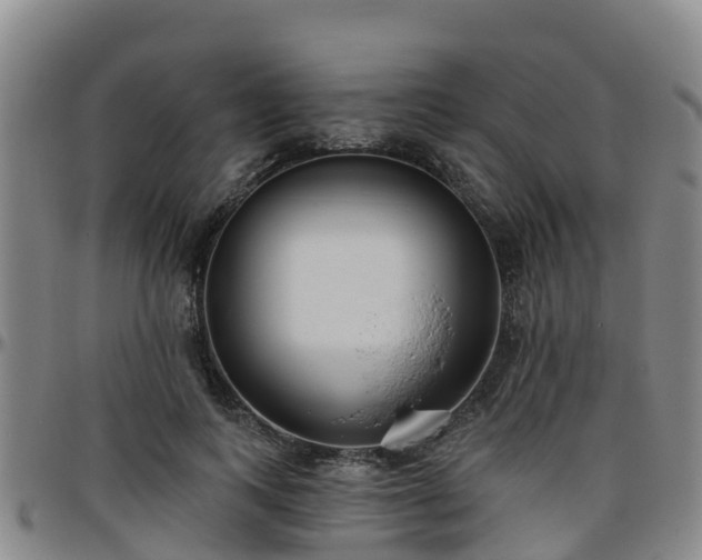 X0000096450743200801311450