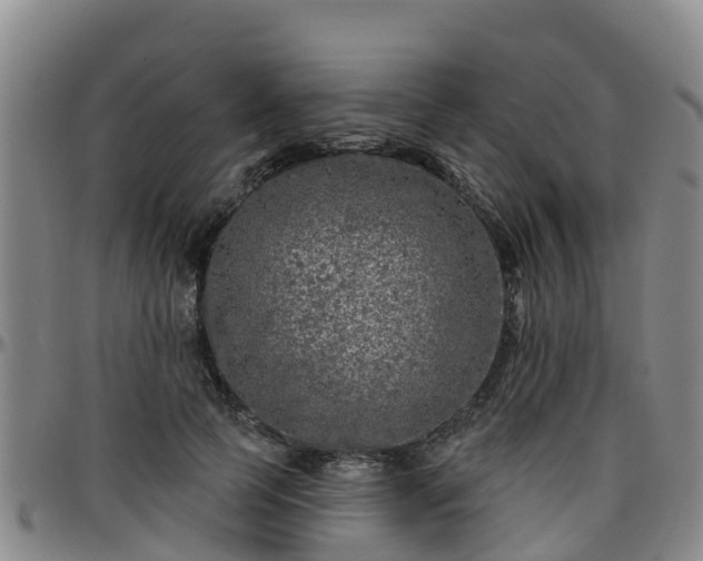 X0000096450745200801311450