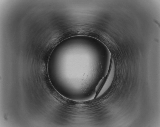 X0000096450748200801311450