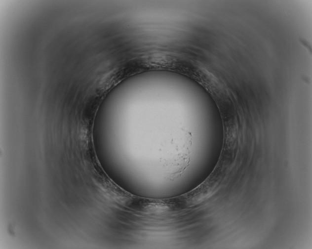 X0000096450749200801311450