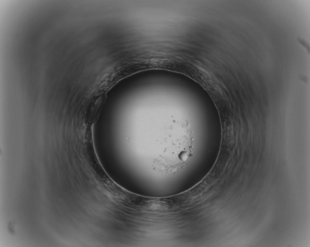 X0000096450750200801311450