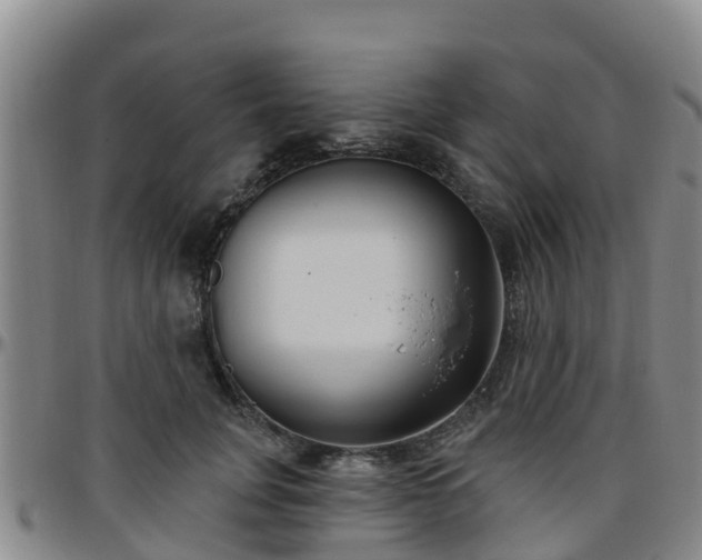 X0000096450751200801311450