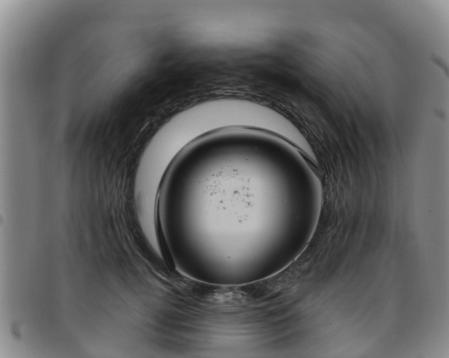 X0000096450752200801311450