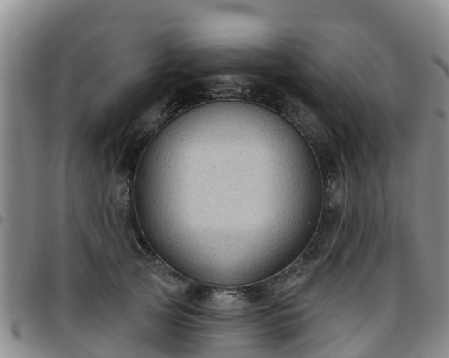 X0000096450753200801311450