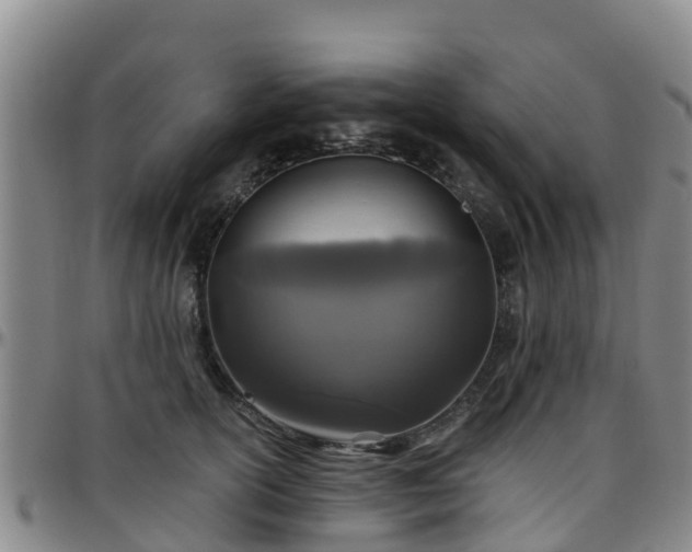 X0000096450754200801311450