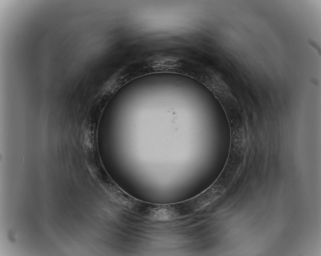 X0000096450755200801311450