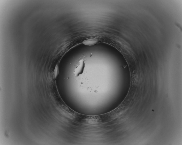 X0000096450756200801311450